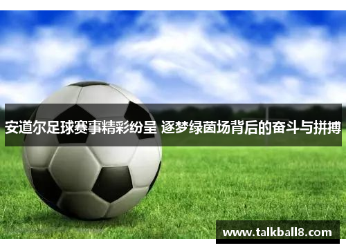安道尔足球赛事精彩纷呈 逐梦绿茵场背后的奋斗与拼搏